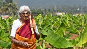  கோவை தேக்கம்பட்டியில் வாக்களித்தார் 108 வயது இயற்கை விவசாயி பாப்பம்மாள்!