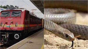குருவாயூர்-மதுரை எக்ஸ்பிரஸ் ரயிலில் பயணியை கடித்த பாம்பு? மருத்துவமனையில் இளைஞர் அனுமதி 