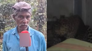 நீலகிரியில் வீட்டுக்குள் புகுந்த சிறுத்தை.. கதவை பூட்டிய பொதுமக்கள்! நூலிழையில் உயிர் தப்பிய நபர் 