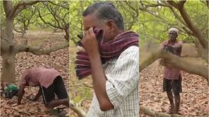 பிள்ளை போல் வளர்த்த முந்திரி மரங்கள்.. கண்ணீர் மல்க, துண்டு துண்டாக வெட்டும் கடலூர் விவசாயிகள் 