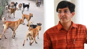 எல்லா பக்கமும் நாய்க்கடி சம்பவங்கள்.. நாய் வளர்ப்பவர்களுக்கு மாநகராட்சி ஆணையர் ராதாகிருஷ்ணன் அட்வைஸ்