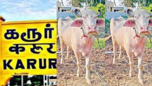 விந்தணு மாறிடுச்சா? என்னங்க சொல்றீங்க.. முருகேசன் வீட்டிலே ஜேஜேன்னு ஒரே கூட்டம்.. கலக்குது கரூர் 