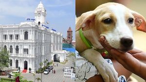  நாய்களுக்கு ‘லைசென்ஸ்’ வாங்க போட்டி போடும் உரிமையாளர்கள்.. 3 நாட்களில் மட்டுமே இவ்வளவு அப்ளிகேஷனா?
