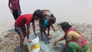 மூக்கை துளைத்து போன அயிலை மீன்.. திருமங்கலம் கண்மாயில் நழுவி, அண்டாவில் விழுந்த கெண்டை.. மதுரை குஷி