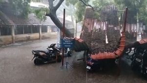  கோவையில் கொட்டி தீர்த்த கனமழை! கலெக்டெர் ஆபிசில் அப்படியே சரிந்த பைக் பார்க்கிங் மேற்கூரை! ஷாக்