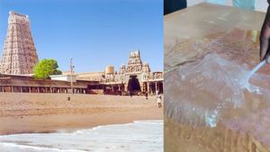 திருச்செந்தூர் கடலில் அதென்ன உருவம்? பார்க்க கண்ணாடி மாதிரியே இருக்கு.. பட்டாலோ தோல் உரிஞ்சிடுமாமே