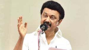 கடிவாளம் போட்டாச்சு! இந்தியா கூட்டணியே நாட்டை வழிநடத்தும்! டெல்லியில் இருந்தபடியே ஸ்டாலின் மடல் 