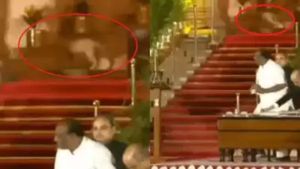 பிரதமர் 3.0 பதவியேற்பு விழா! குடியரசு தலைவர் மாளிகையில் உலவியது சிறுத்தையா? டெல்லி போலீஸ் விளக்கம் 
