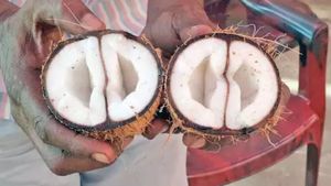 தஞ்சாவூர் அம்மன் கோயிலில் அதிசயம்.. அந்த 