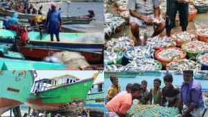 வஞ்சிரம், மத்தி, நெத்திலி.. மூக்கை துளைக்க போகும் மீன்கள்.. நாளை முதல் கடலுக்குள் செல்லும் மீனவர்கள்