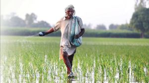 14 பயிர்களுக்கான குறைந்தபட்ச ஆதரவு விலையை பல மடங்கு உயர்த்த மத்திய அமைச்சரவை அதிரடி ஒப்புதல்! 