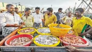முரல் மீனும் வரல.. நெத்திலி தந்த நிம்மதி.. சென்னை காசிமேட்டில் விழுந்த கேரளா இடி.. கடல்லயே இல்லையாமே