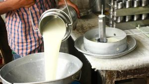 உலகிலேயே இந்த ஒரே ஒரு விலங்கு மட்டுமே கருப்பு நிறத்தில் பால் தரும்.. அது எந்த விலங்கினம் தெரியுமா? 