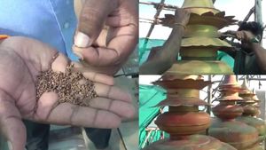 திருச்செந்தூரில் அற்புதம்.. கோவில் கலச நவதானியம் 12 ஆண்டுகளுக்கு பின் எப்படி இருக்கு பாருங்க! பரவசம் 