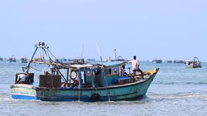  வஞ்சிரத்தை கொஞ்சுறோம்.. நிறைவடைந்த மீன்பிடி தடைக் காலம்! உற்சாகத்துடன் வங்கக் கடலில் மீனவர்கள்