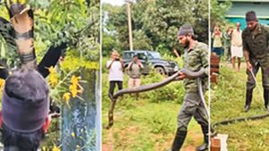 மேட்டுப்பாளையத்தில் அசைவேயில்லை.. 2 நாளாக ஒரே இடத்தில் அதே உருவம்.. கோவையை இப்படி பயமுறுத்திடுச்சே