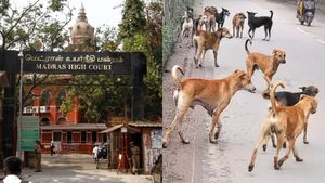 சென்னை ஐகோர்ட் வளாகத்தில் நாய்கள் தொல்லையா? நாளைக்குள் அறிக்கை தாக்கல் செய்ய நீதிபதிகள் உத்தரவு!