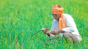 PMFBY: ரூ.716 கட்டினால் ரூ.35800 கிடைக்கும்.. பிரதம மந்திரி பயிர் காப்பீடு திட்டத்தில் இவ்வளவு பலனா?