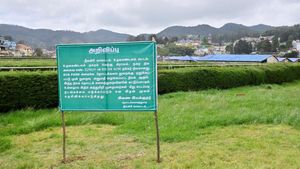  ஊட்டியே மாறப்போகுது.. மீட்கப்பட்ட நிலத்தில் பிரமாண்ட பசுமை பூங்கா.. உடனே வேலைகளை ஆரம்பித்த அரசு!