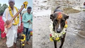 இதுதான் பாசம்.. 250 கிமீ தொலைவை கடந்து வளர்த்தவரை தேடிவந்த நாய்.. நெகிழ வைத்த சம்பவம் 