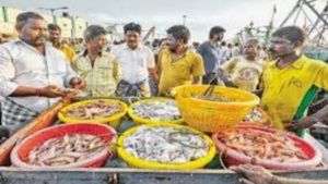 காசிமேட்டில் ஒரே குஷி.. சென்னையில் வஞ்சிரம், நெத்திலி தந்த ஹேப்பி.. ஈரோட்டில் பாறை மீனுக்கு என்னவாம்