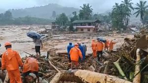 மலையையே காணலை.. டீ எஸ்டேட்டின் சுவடே இல்லை... சாலியாறு ஆற்றில் மிதந்த 67 உடல்கள்.. வயநாடு துயரம்! 