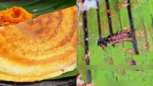  பிரபல ஓட்டலில் பொடி தோசை சாப்பிட்டாராம் திருவாரூர் பிரவீன்.. இப்ப மன்னார்குடியே பரபரக்குது.. ஓ காட்