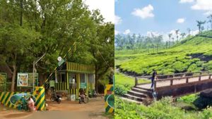  திருநெல்வேலியில் நற்செய்தி.. இன்று முதல் நெல்லை மாஞ்சோலை செல்லலாம்.. தடையை நீக்கி மக்களுக்கு அனுமதி 