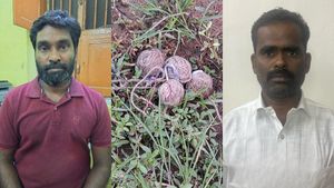  சிதைந்த உடல்கள்.. சிதறிய இரத்தம்! நத்தமே நடுநடுங்கிப் போச்சு.. அதென்ன உருண்டை உருண்டையாய்?