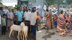 சத்தியமங்கலத்தில் அரசு பஸ் முன்பு துள்ளியோடிய 3 ஆடுகள்.. பூரித்து மகிழ்ந்த பயணிகள்.. ஈர்க்கும் ஈரோடு 