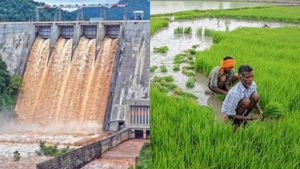 3 தலைமுறை கனவு.. விவசாயிகளுக்கு விடிவு காலம்! அத்திக்கடவு- அவினாசி திட்டத்தால் கிடைக்கும் பலன்கள் 