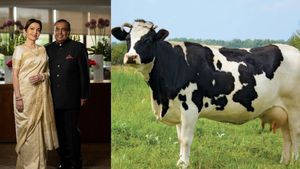 முகேஷ் அம்பானி குடும்பத்தினர் பயன்படுத்தும் பால் எது தெரியுமா? விலையை கேட்டால் ஆடி போய்டுவீங்க! 
