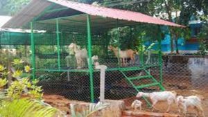 150 ஆடுகள்.. கொட்டகையில் அர்த்த ராத்திரியில் கொடுமை.. ஆட்டோவில் விநோத சத்தம்.. யார்னு பாருங்க