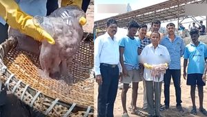  திருச்செந்தூர் பீச்சில் பக்தர்களின் உடலை 
