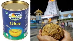 திருப்பதி லட்டில் மாட்டின் கொழுப்பு! நந்தினி நெய்யை மாற்றியதுதான் காரணமா? உண்மை என்ன? 
