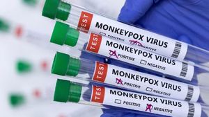 mpox in india: இந்தியாவுக்குள் நுழைந்த குரங்கு அம்மை.. இளைஞர் ஒருவருக்கு உறுதி! மத்திய அரசு அலர்ட் 