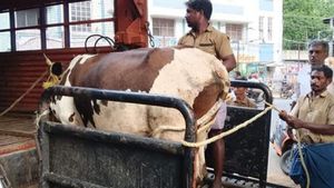 திருச்சியில் திணறும் வாகன ஒட்டிகள்.. ரோட்டில் ‘மே மே’ தொல்லையால் அவதி! ஆக்சனில் இறங்கிய அதிகாரிகள் 