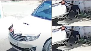 திமுக கொடியுடன் காரில் வந்து ஆடுகளை திருடிய கும்பல்.. காட்டிக்கொடுத்த சிசிடிவி.. நடந்ததை பாருங்க 