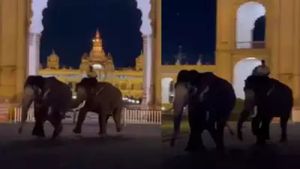  அரண்டுப்போன மைசூர் அரண்மனை.. 2 தசரா யானைகள் திடீர் மோதல்.. அலறி ஓடிய மக்கள்.. என்ன நடந்தது? 