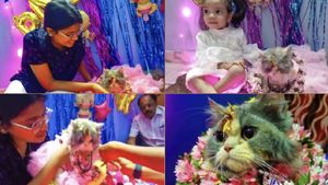சின்ன சின்ன அன்பில் தானே.. அவளும் தாயல்லவோ..! பூனைக்கு வளைகாப்பு..புஷிக்கு பூரிப்பு! ஊரே மெச்சுதே!