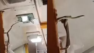 லோயர் பெர்த்தில்.. அதுவும் ஏசி கோச்சில் 