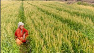 விவசாயிகள் நலன்..ரூ.14,235.30 கோடி மதிப்பீட்டிலான 7 முக்கிய திட்டங்களுக்கு மத்திய அமைச்சரவை ஒப்புதல்