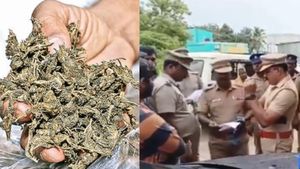 பொத்தேரியில் கல்லூரி மாணவர்கள் குடியிருப்பில் கஞ்சா! கைதான 11 பேர் சொந்த ஜாமினில் விடுவிப்பு 