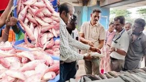 உஷார்.. கோவை மார்க்கெட்டில் கெட்டுப்போன மீன்கள் விற்பனையா? பகீர் கிளப்பும் அதிகாரிகள் 