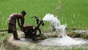 விவசாயிகளுக்கு அக்கவுண்டிலேயே வந்து விழப்போகும் 15000 ரூபாய்.. விண்ணப்பிக்க கலெக்டர் அழைப்பு 