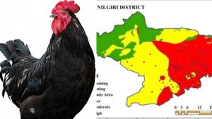 நீலகிரியில் அதிசயம்.. மலையரசியின் மூக்கை துளைத்த 