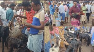  நெருங்கும் தீபாவளி பண்டிகை.. காசை ‘கறி’யாக்கும் மக்கள்! அம்மாடியோவ்.. ஒரு கோடிக்கு விற்பனையான ஆடுகள்