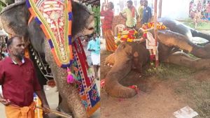 தீயில் துடித்து மடிந்த சுப்புலட்சுமி! கண்ணீரில் குன்றக்குடி! விளக்கால் ஏற்பட்ட விபரீதம்.. பாகன் கைது