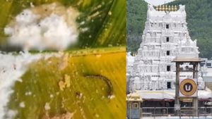 திருப்பதி அன்னதான பிரசாதத்தில் பூரான்! வீடியோவுடன் பக்தர் குற்றச்சாட்டு! தேவஸ்தானம் கொடுத்த விளக்கம் 