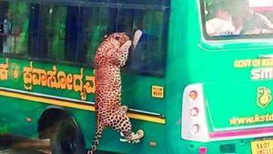 ஓடும் பஸ்ஸில் பாய்ந்து வந்து ஏறிய சிறுத்தை.. வாகனத்தில் தொங்கி கொண்டே உறுமி.. பெங்களூரில் பரபரப்பு